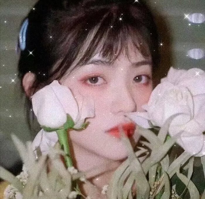 女人城